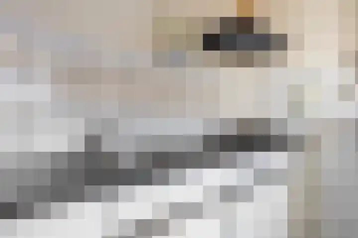 Feytsmastrjitte 7 Ferwert thumbnail 13