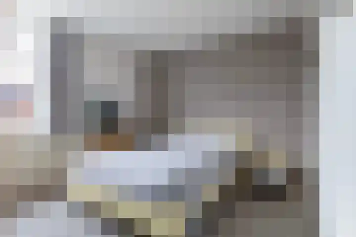 Feytsmastrjitte 7 Ferwert thumbnail 18