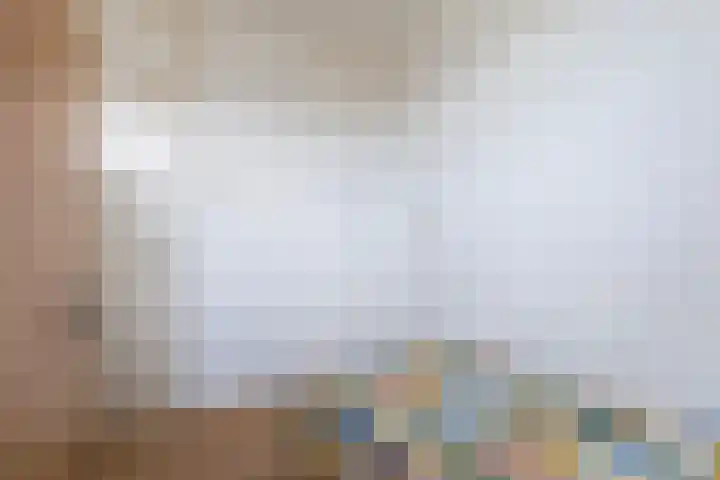 Feytsmastrjitte 7 Ferwert thumbnail 21