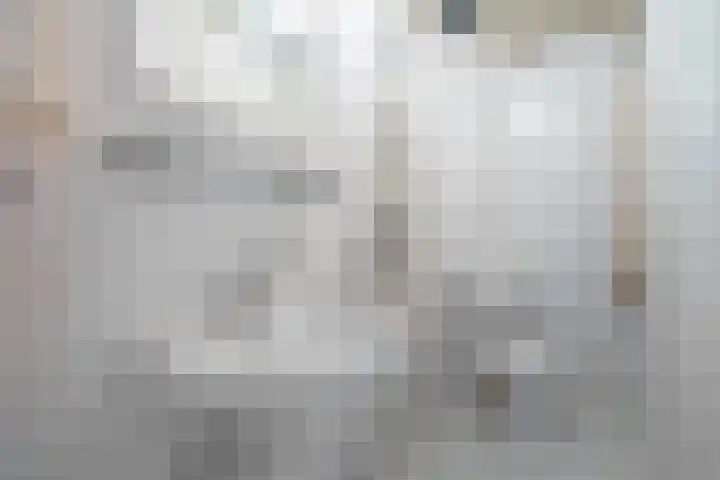 Feytsmastrjitte 7 Ferwert thumbnail 25