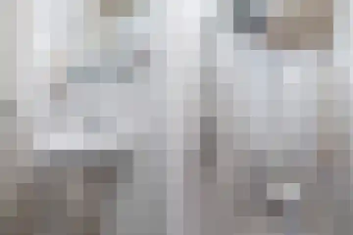 Feytsmastrjitte 7 Ferwert thumbnail 26