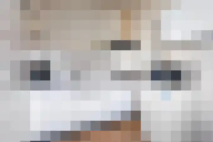 Feytsmastrjitte 7 Ferwert foto 3