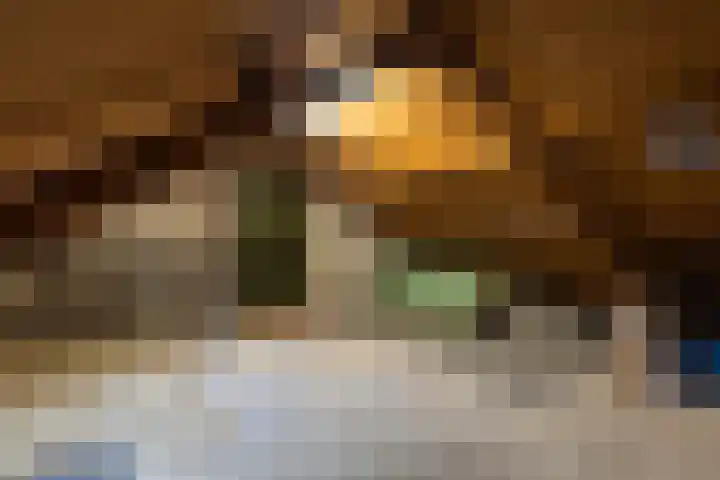 Feytsmastrjitte 7 Ferwert thumbnail 30
