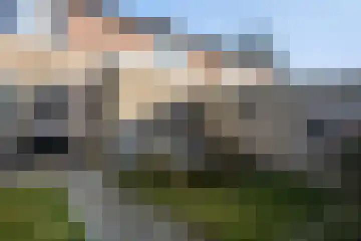 Feytsmastrjitte 7 Ferwert thumbnail 32