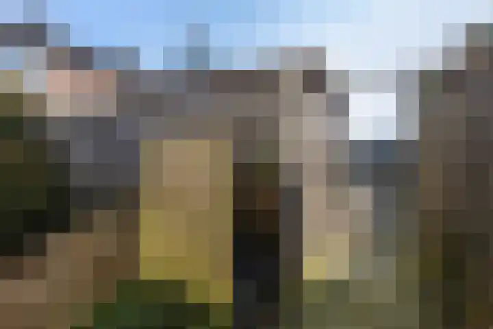 Feytsmastrjitte 7 Ferwert thumbnail 33
