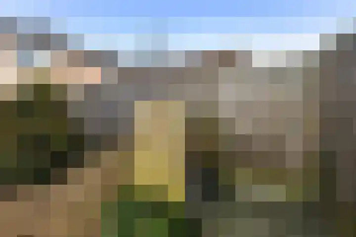 Feytsmastrjitte 7 Ferwert thumbnail 34