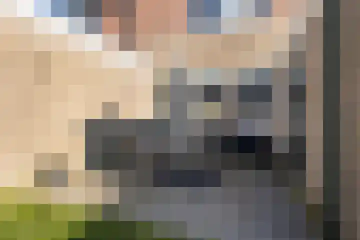 Feytsmastrjitte 7 Ferwert thumbnail 37