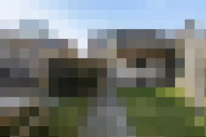 Feytsmastrjitte 7 Ferwert thumbnail 39