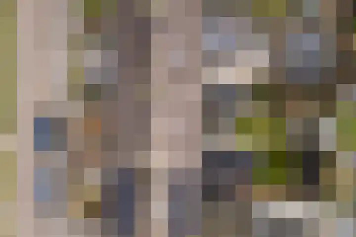 Feytsmastrjitte 7 Ferwert thumbnail 51
