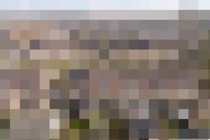 Feytsmastrjitte 7 Ferwert thumbnail 52