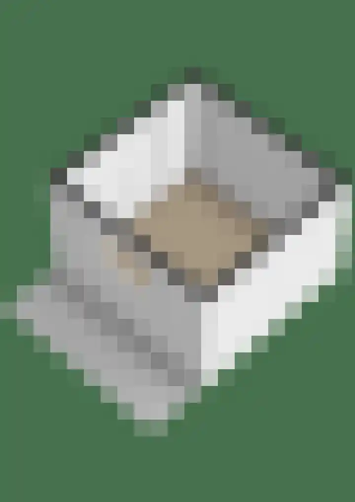 Feytsmastrjitte 7 Ferwert thumbnail 61