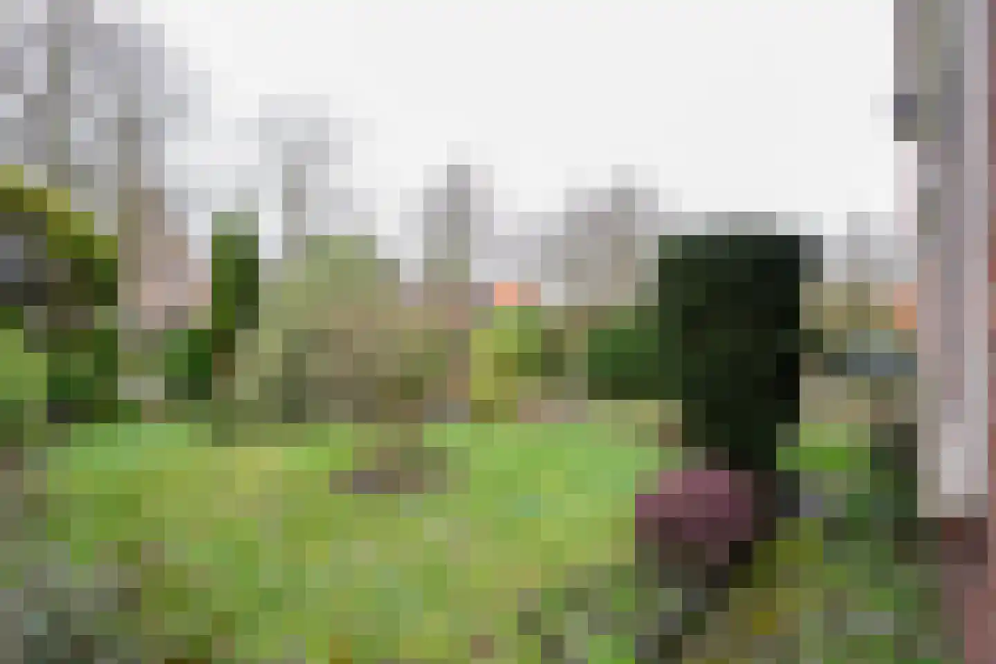 FHG v Itersonlaan 21 Oostvoorne thumbnail 12