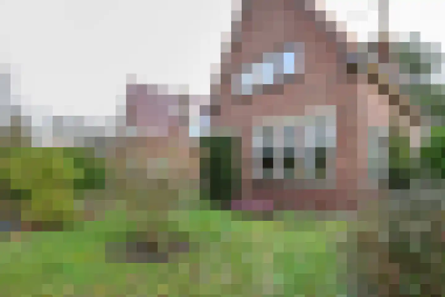 FHG v Itersonlaan 21 Oostvoorne thumbnail 13
