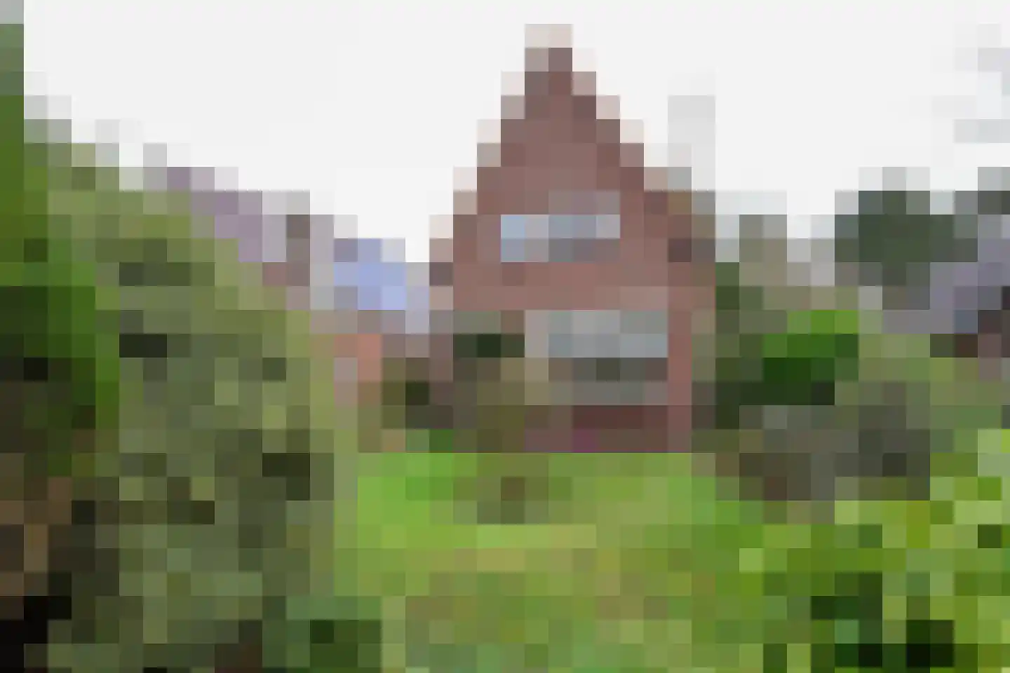 FHG v Itersonlaan 21 Oostvoorne thumbnail 15