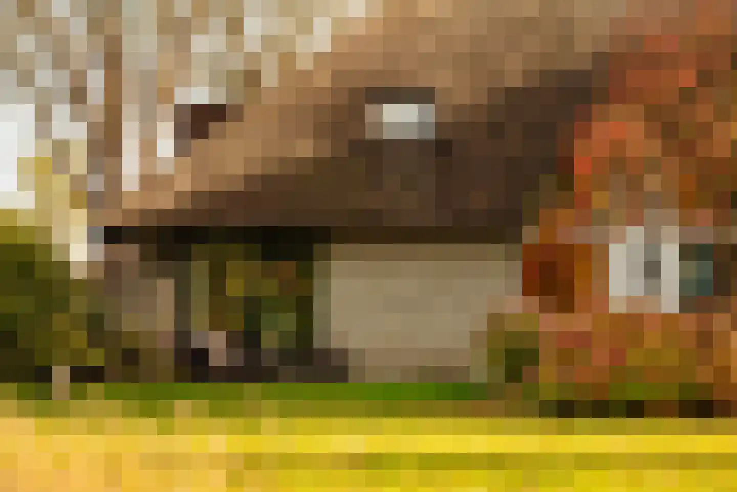 FHG v Itersonlaan 44 Oostvoorne thumbnail 14