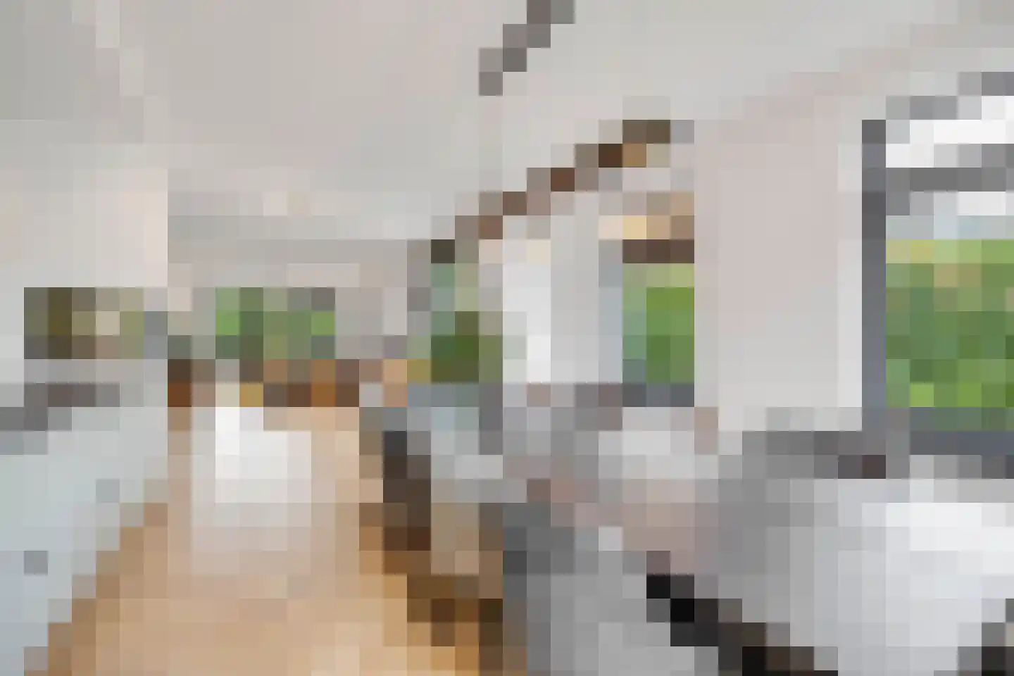 FHG v Itersonlaan 68 Oostvoorne thumbnail 21