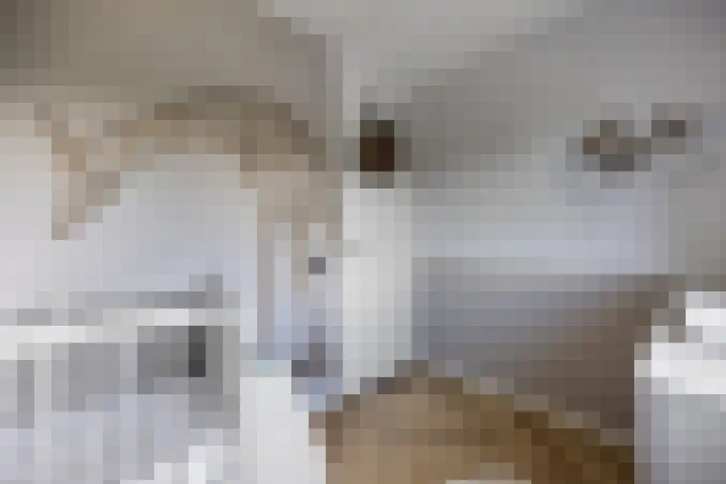 Fibonaccilaan 36 Almere thumbnail 17