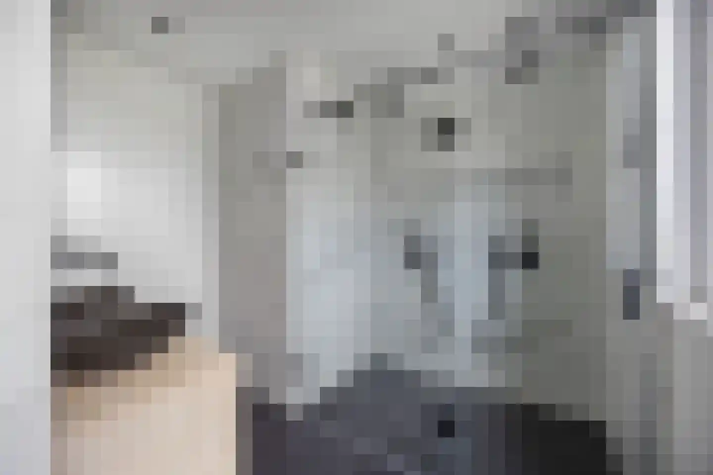 Fibonaccilaan 36 Almere thumbnail 22