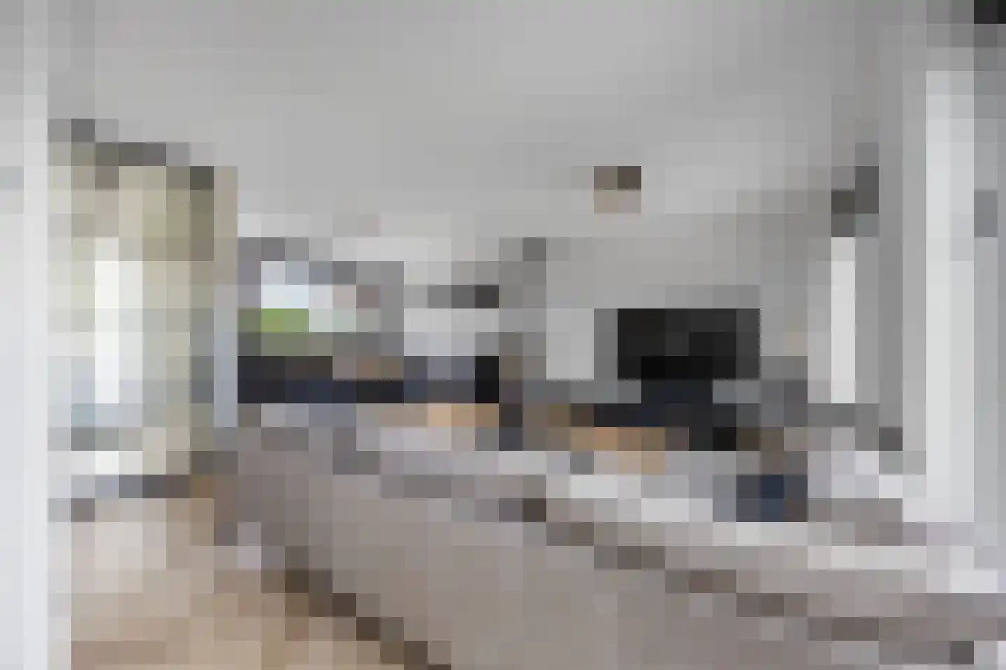 Fibonaccilaan 36 Almere thumbnail 4