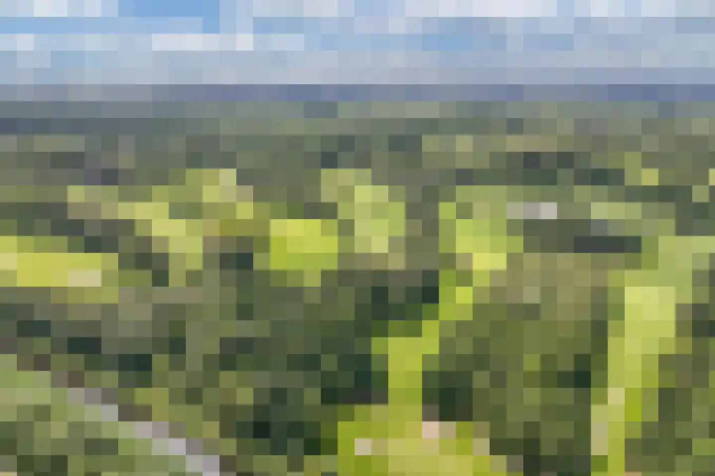 Fibonaccilaan 36 Almere thumbnail 48