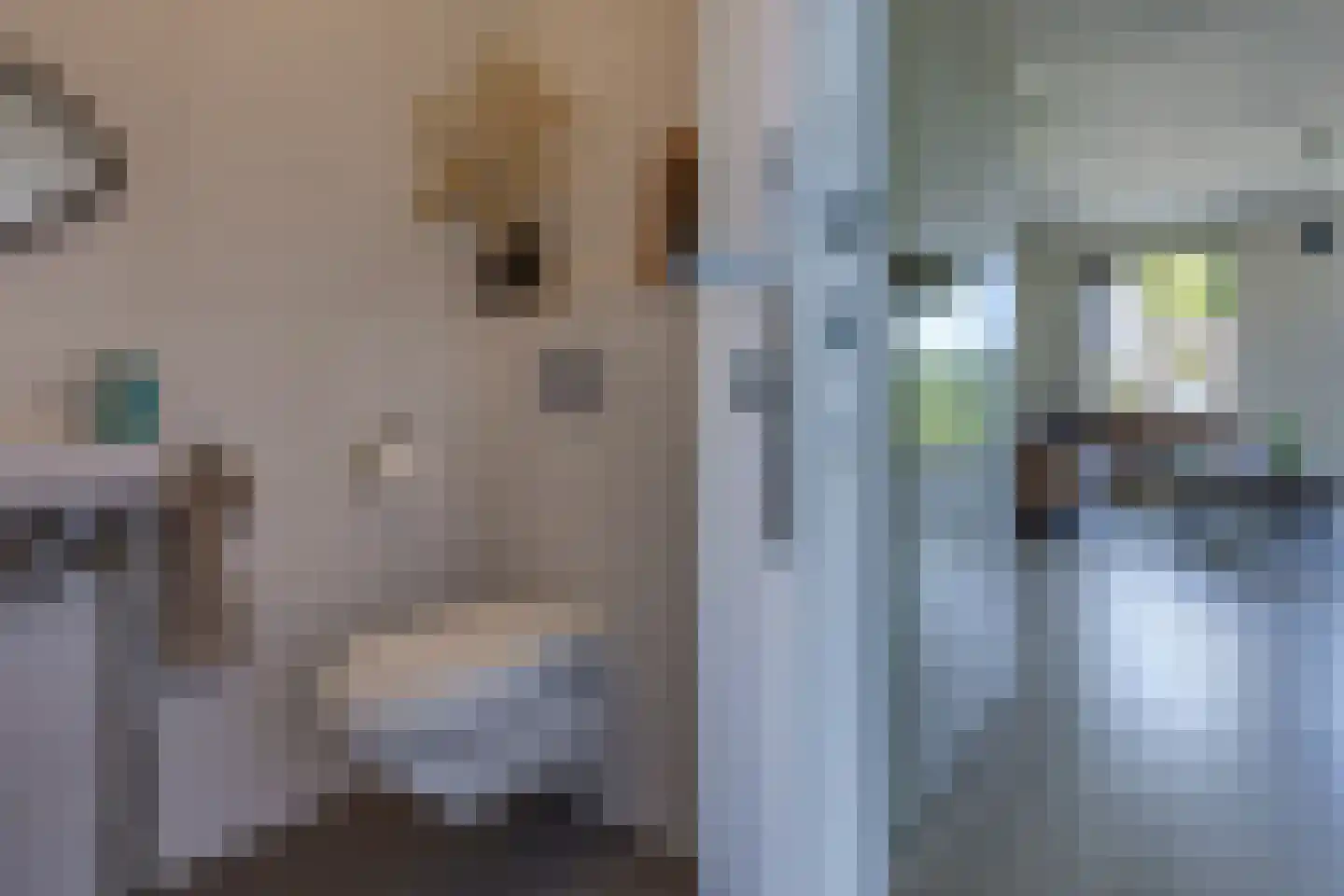 Fibula 33 Borger thumbnail 10