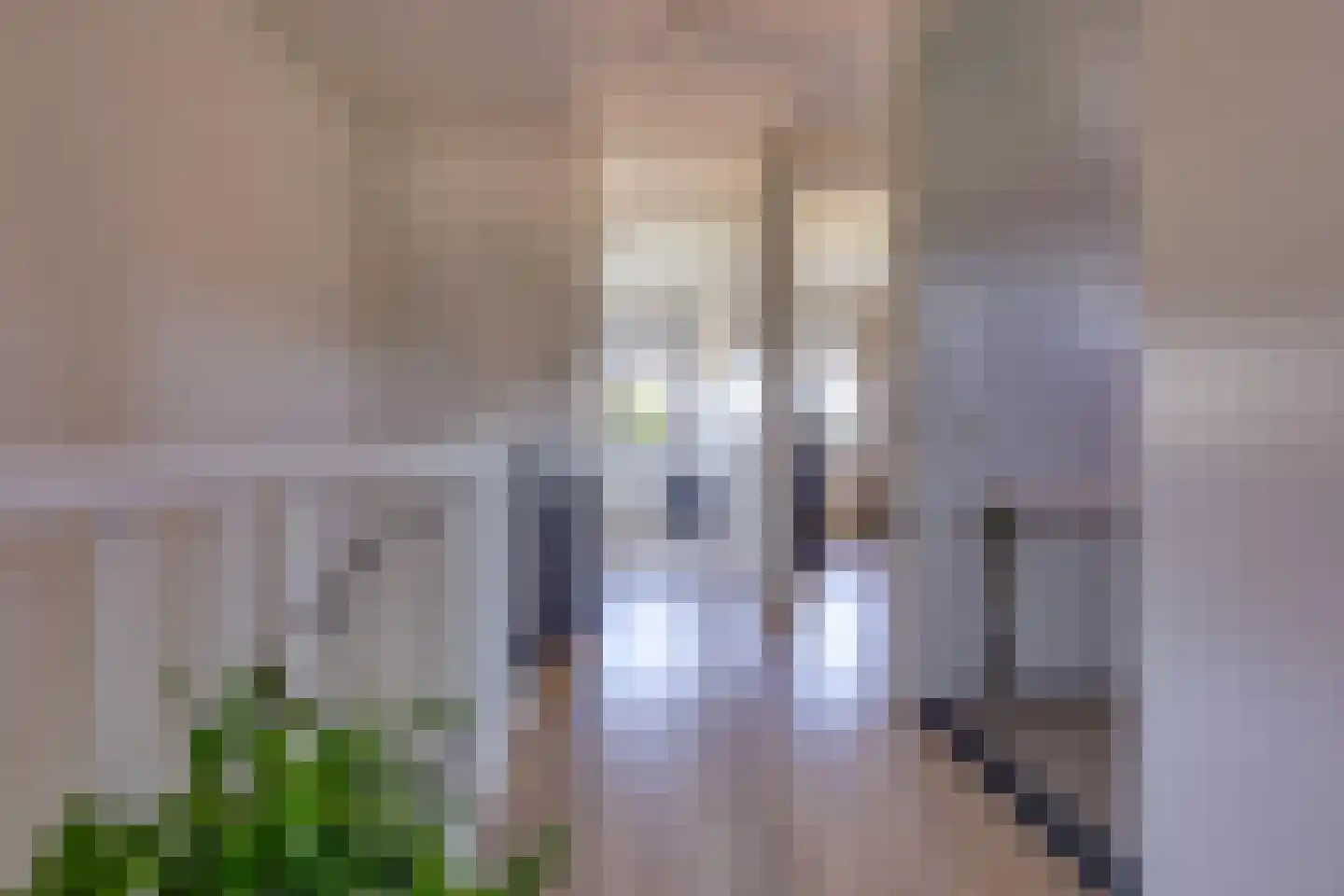 Fibula 33 Borger thumbnail 12