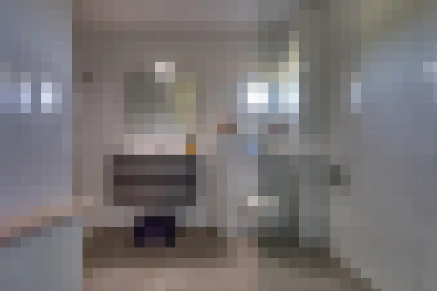 Fibula 33 Borger thumbnail 15