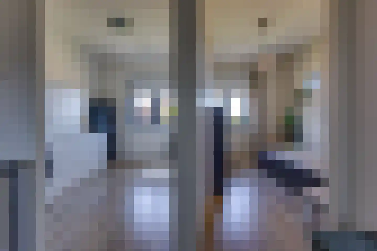 Fibula 33 Borger thumbnail 18