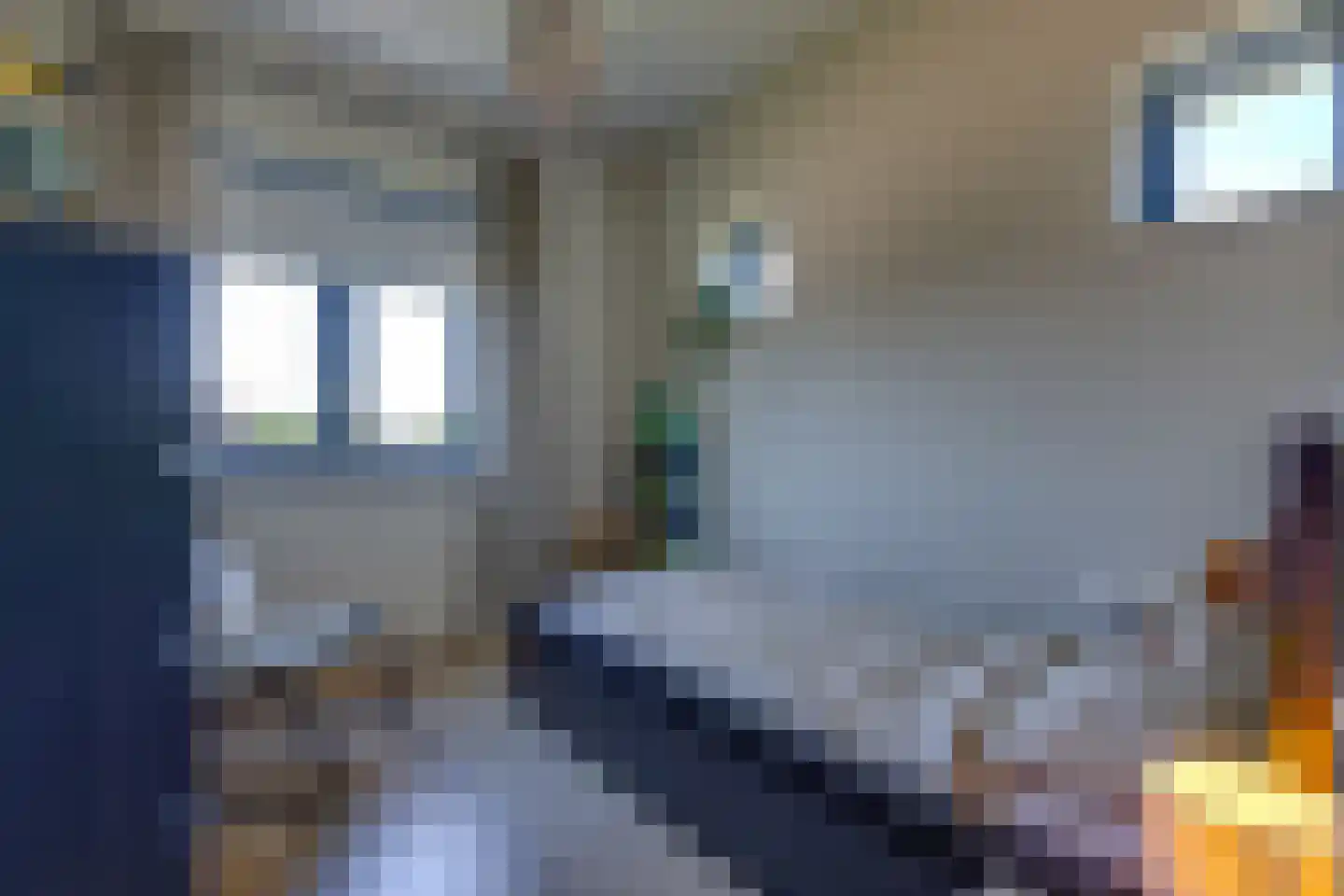 Fibula 33 Borger thumbnail 19