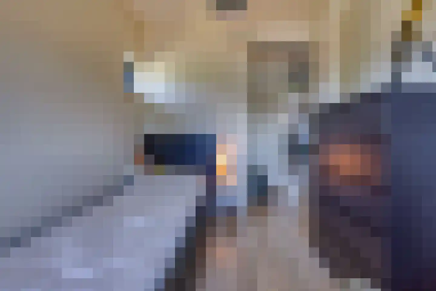 Fibula 33 Borger thumbnail 20