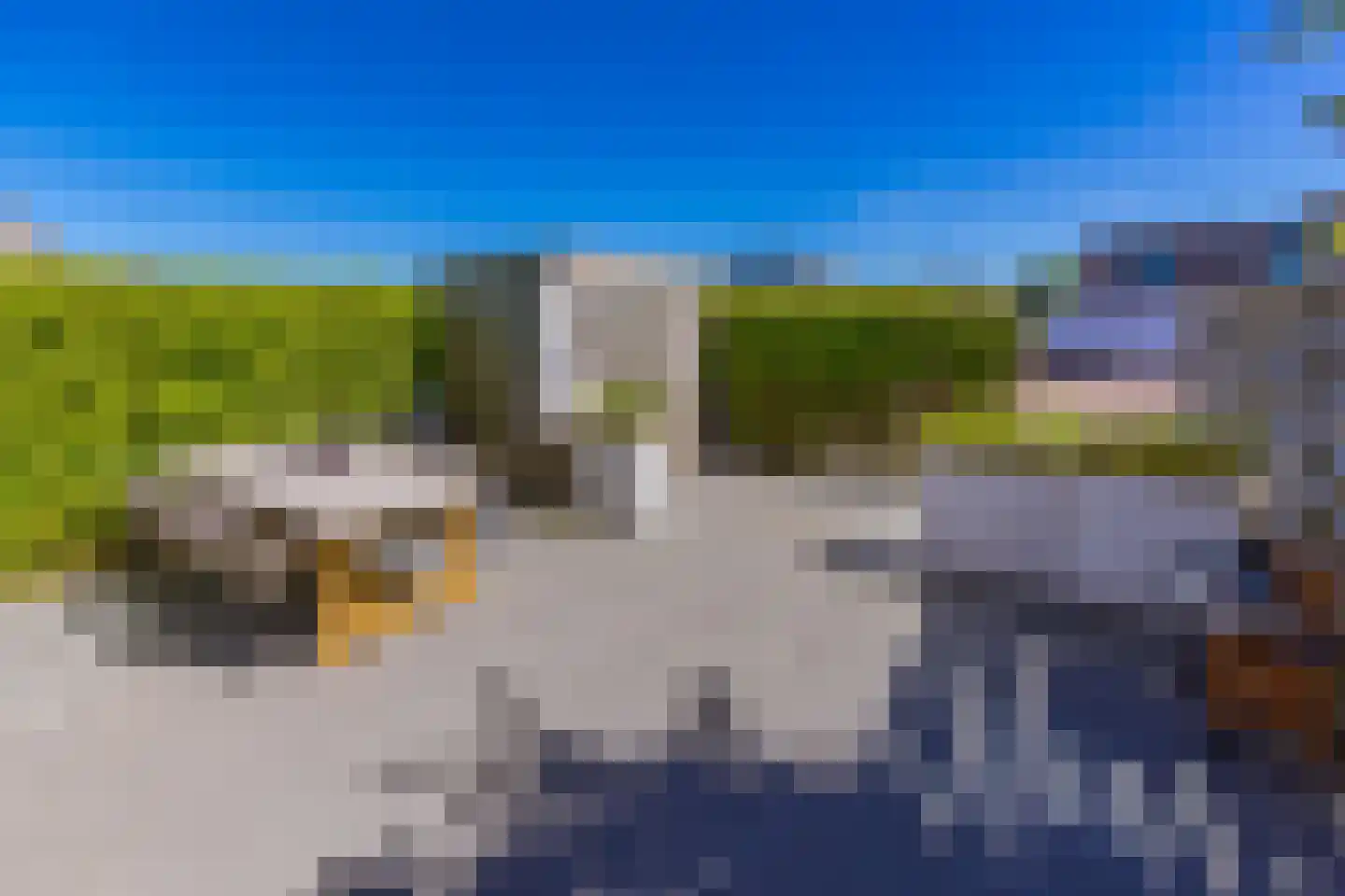 Fibula 33 Borger thumbnail 23