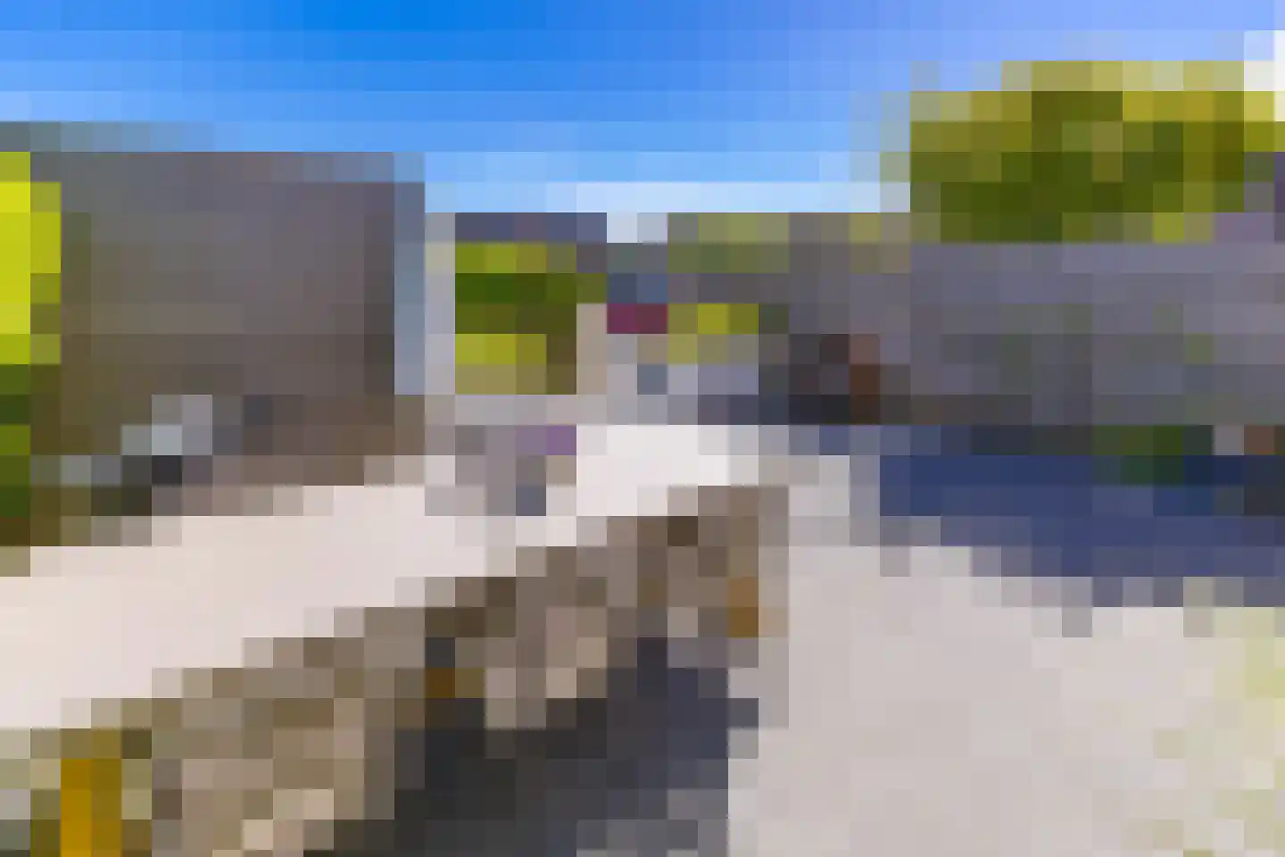 Fibula 33 Borger thumbnail 24