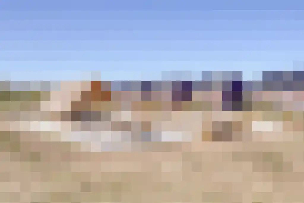 Fibula 33 Borger thumbnail 28