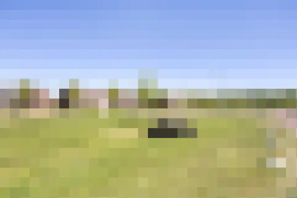 Fibula 33 Borger thumbnail 29