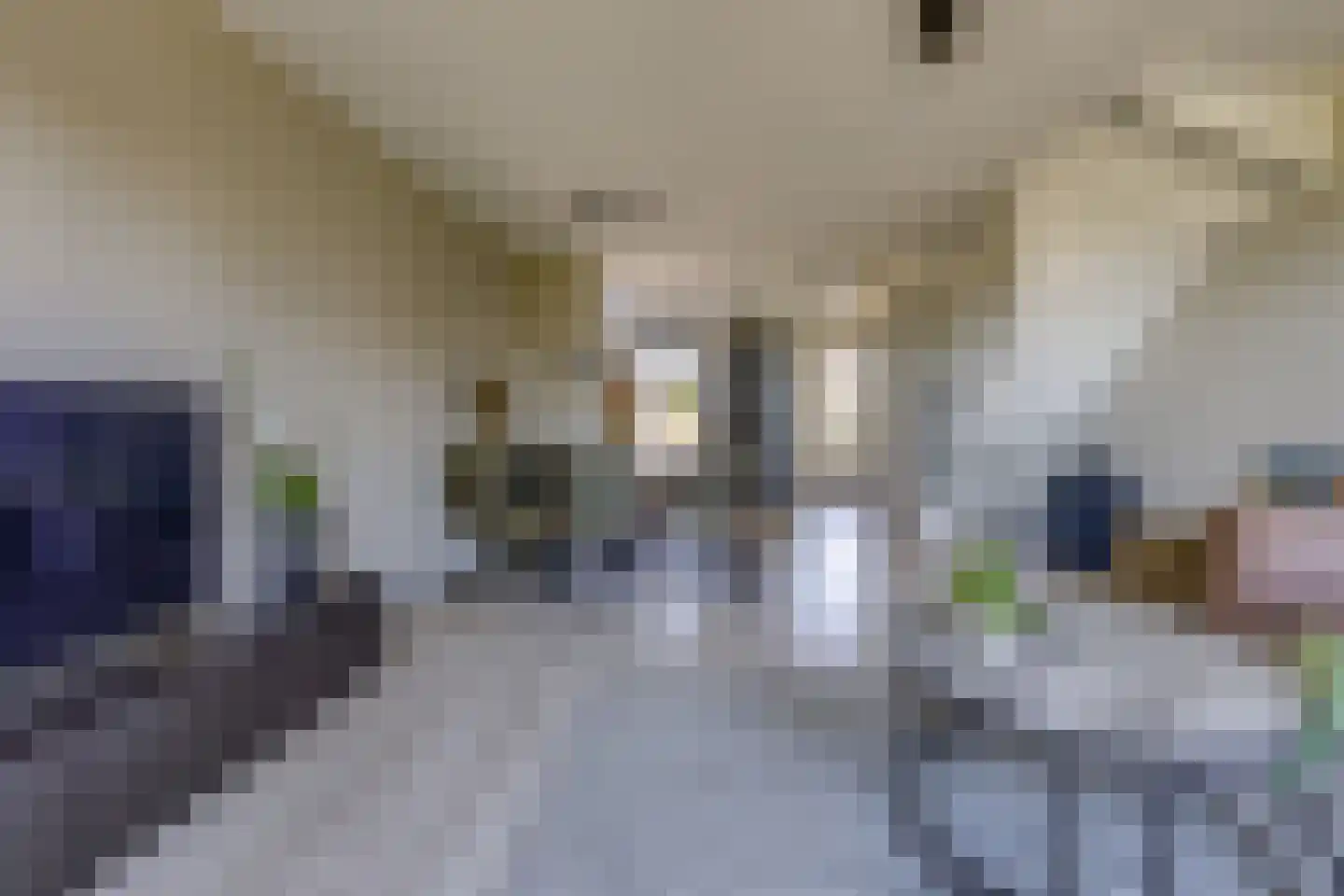 Fibula 33 Borger thumbnail 5