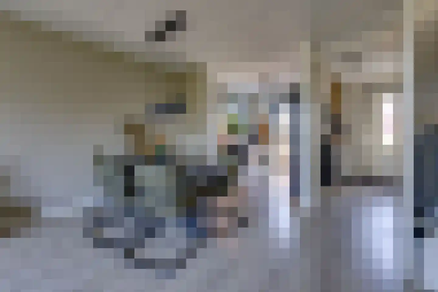 Fibula 33 Borger thumbnail 6