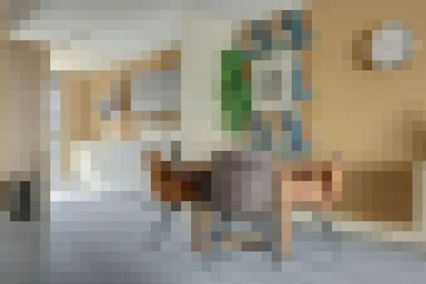 Fibula 33 Zuidland thumbnail 13