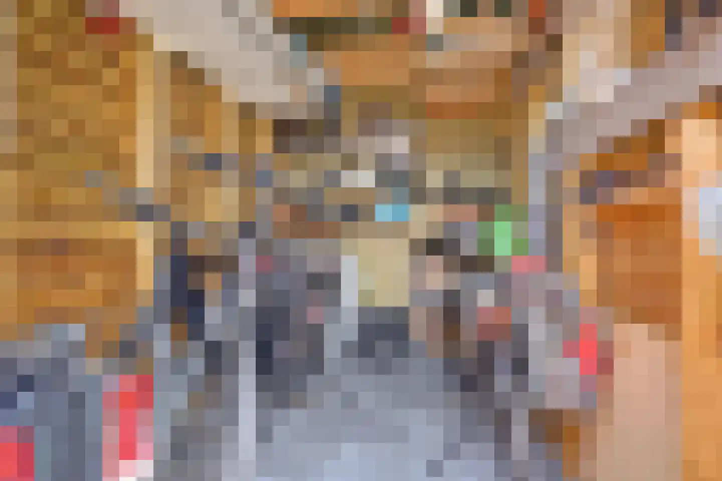 Fibula 33 Zuidland thumbnail 32