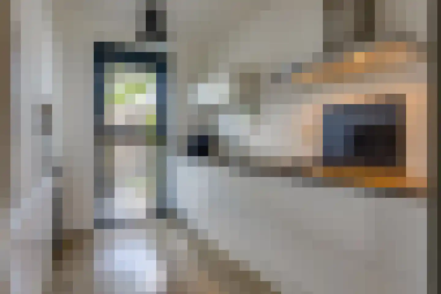 Fibula 35 Borger thumbnail 10