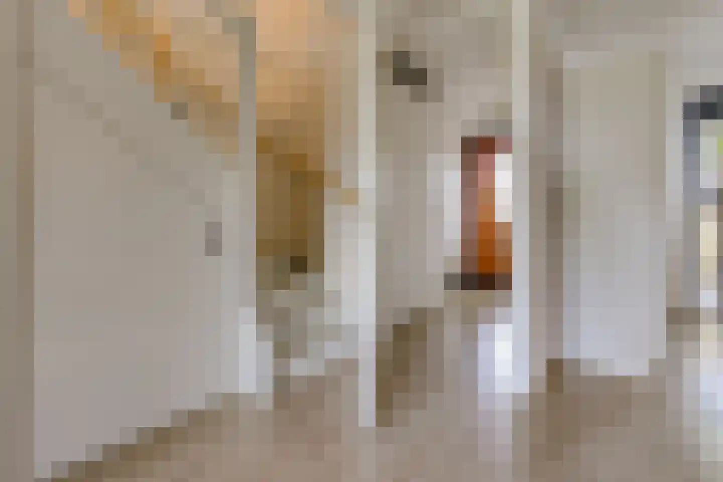 Fibula 35 Borger thumbnail 13