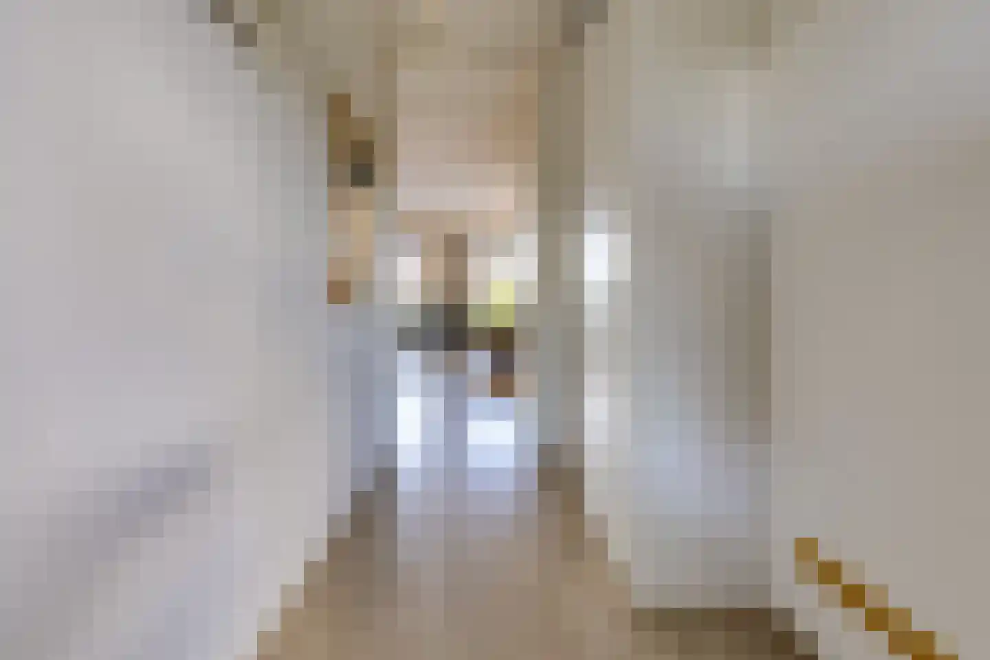 Fibula 35 Borger thumbnail 15