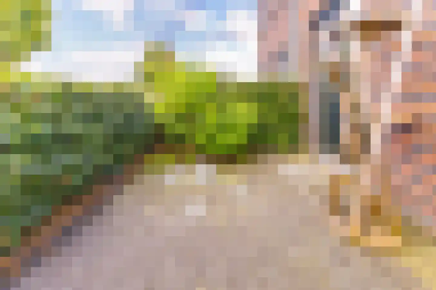 Fibula 35 Borger thumbnail 7