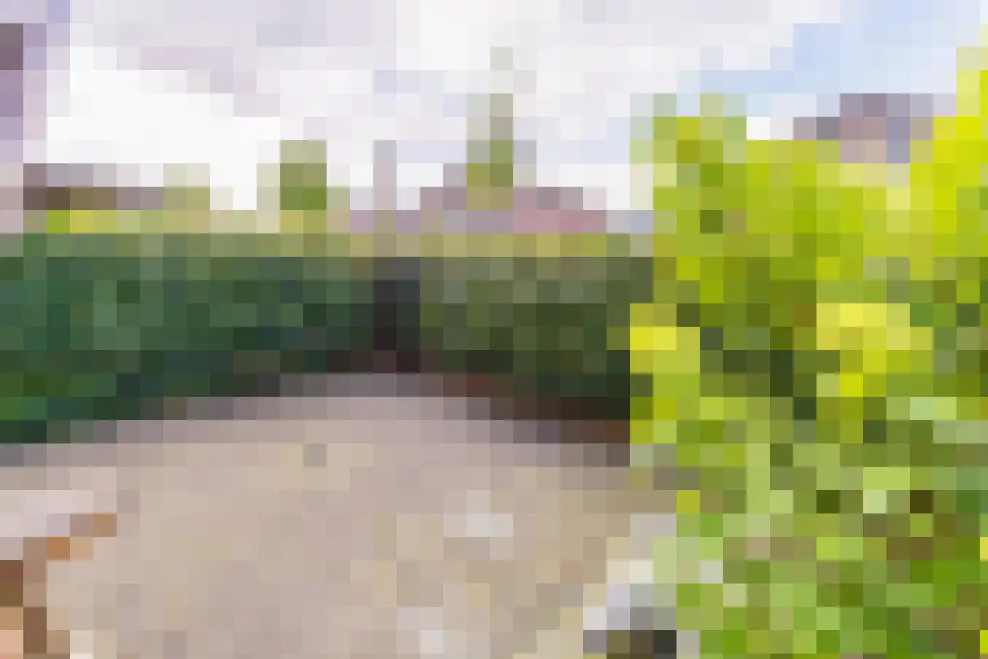 Fibula 35 Borger thumbnail 8