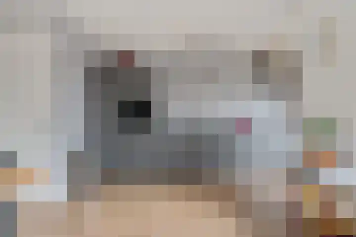 Fibula 4 Dokkum thumbnail 13