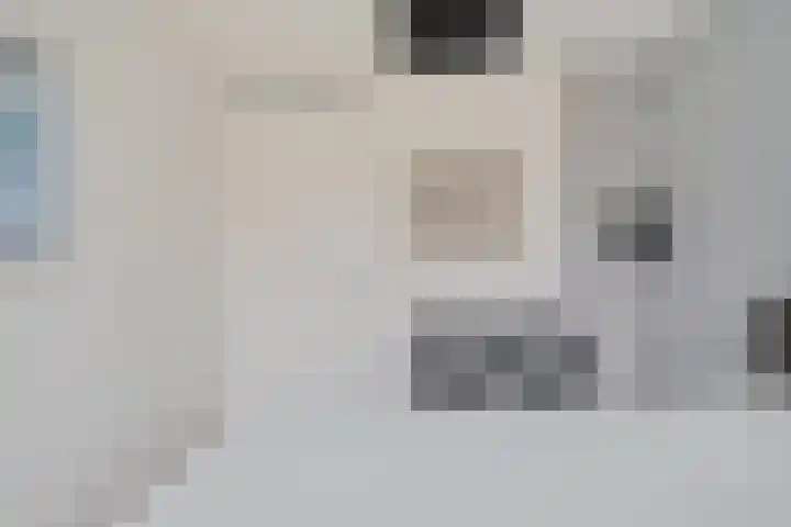 Fibula 4 Dokkum thumbnail 19