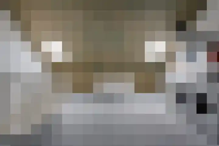 Fibula 4 Dokkum thumbnail 25