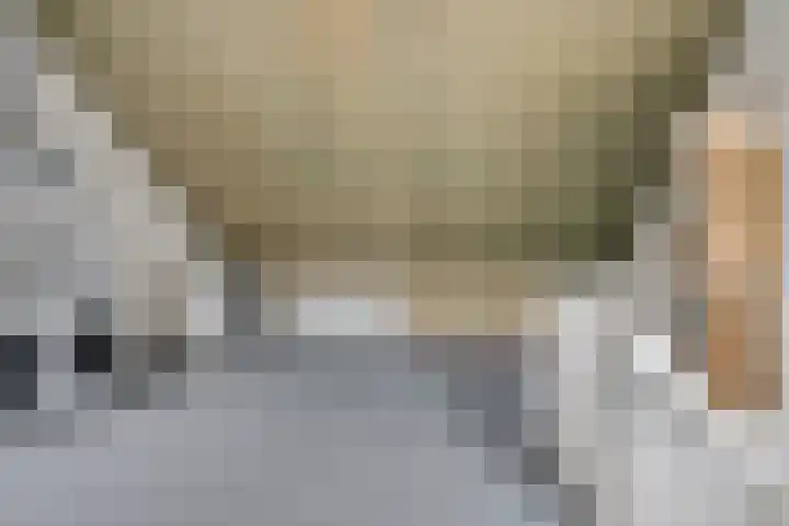 Fibula 4 Dokkum thumbnail 26
