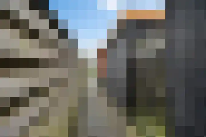 Fibula 4 Dokkum thumbnail 29