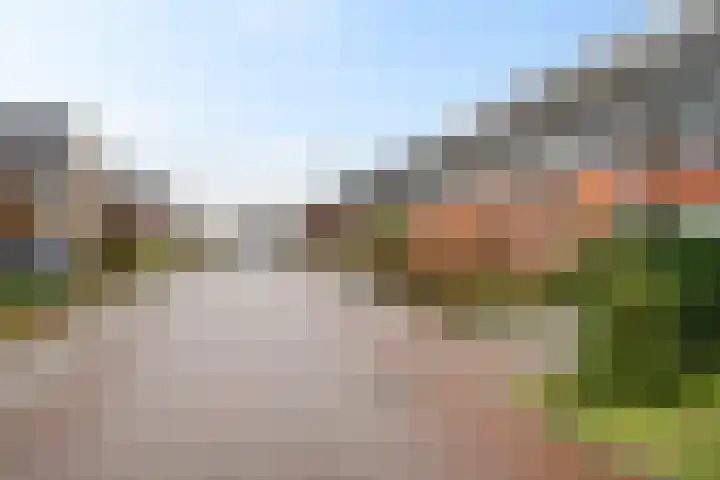 Fibula 4 Dokkum thumbnail 30