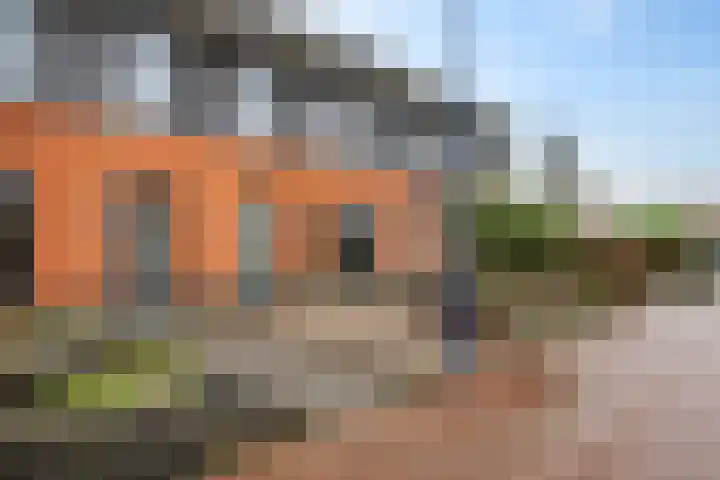 Fibula 4 Dokkum thumbnail 5